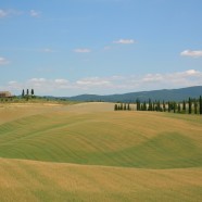 REGOLAMENTO E LINEE GUIDA FORMAZIONE  CONTINUA