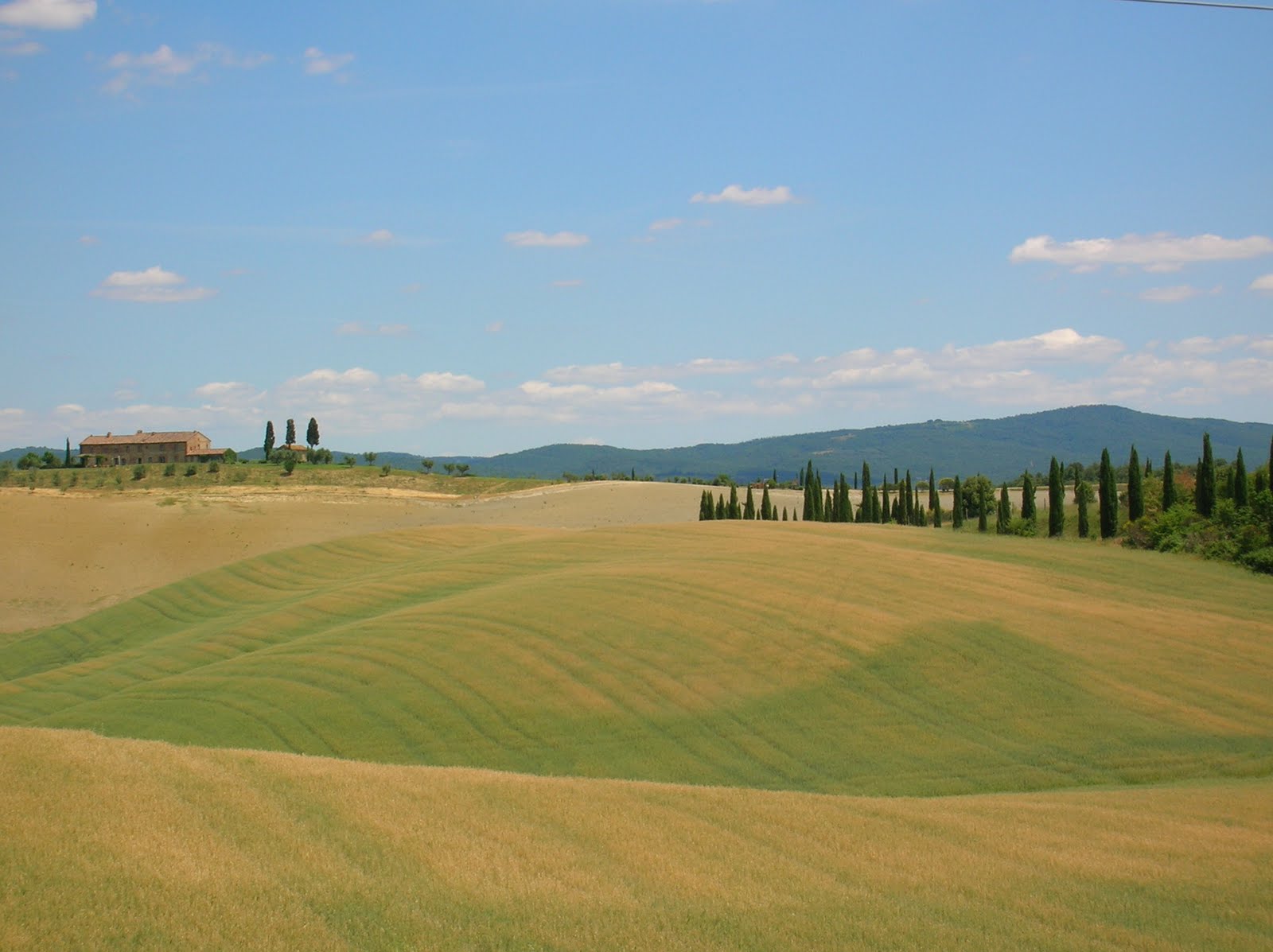 REGOLAMENTO E LINEE GUIDA FORMAZIONE  CONTINUA